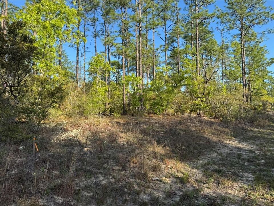 Vendido Recientemente: $45,000 (1.00 acres)