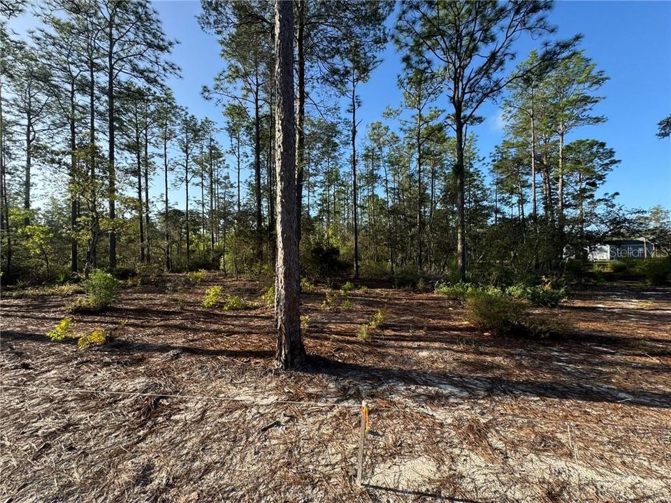 Vendido Recientemente: $45,000 (1.00 acres)