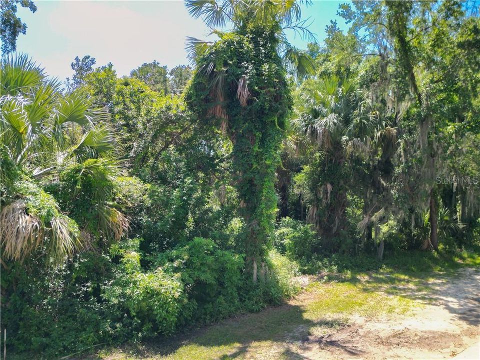 Recently Sold: $370,000 (0.38 acres)