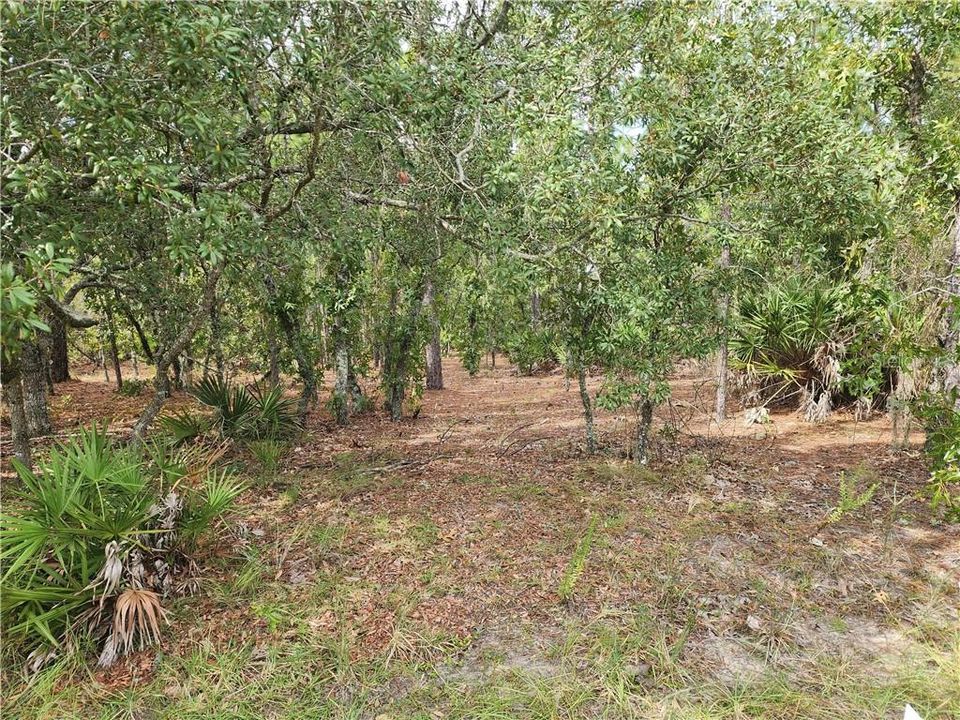 最近售出: $66,500 (1.00 acres)