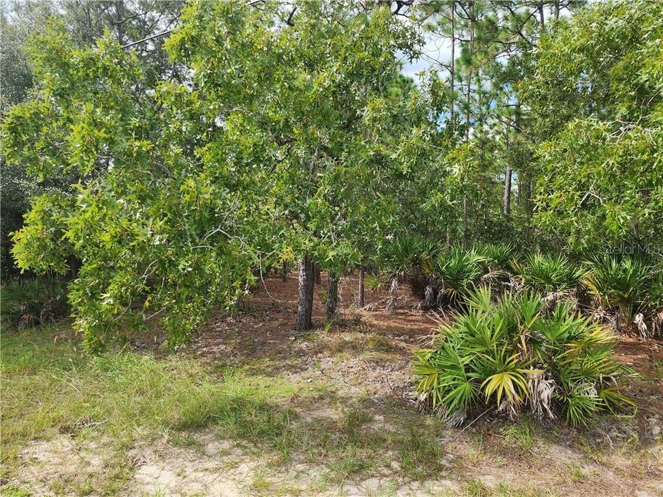 最近售出: $66,500 (1.00 acres)