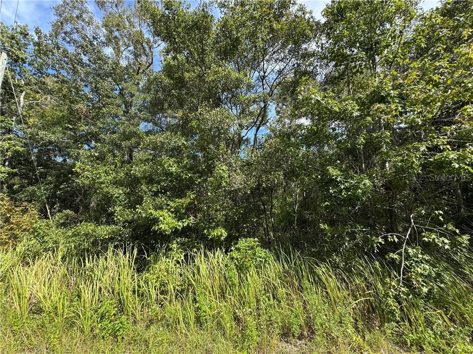 Recently Sold: $38,000 (0.46 acres)