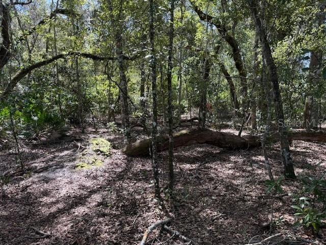 最近售出: $16,000 (0.48 acres)