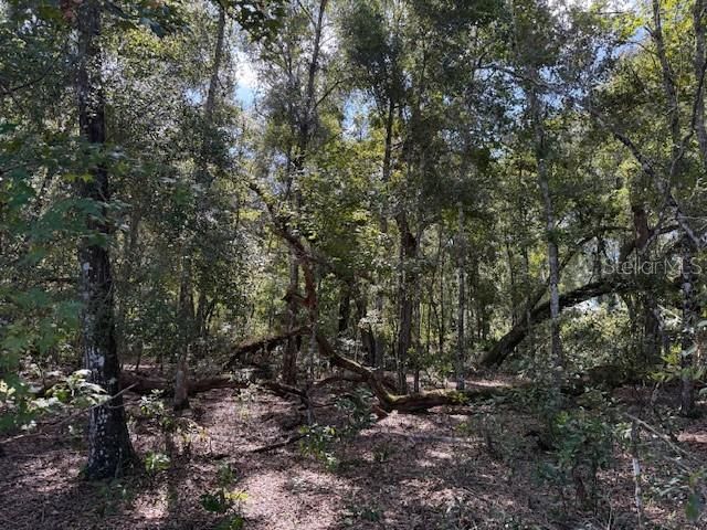 最近售出: $16,000 (0.48 acres)