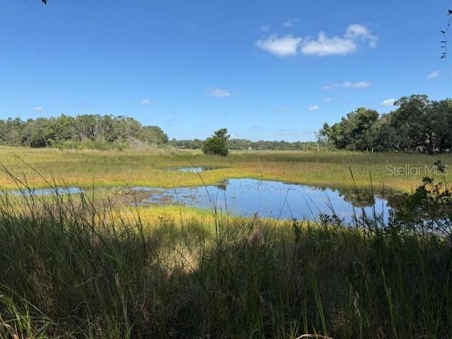 最近售出: $16,000 (0.48 acres)