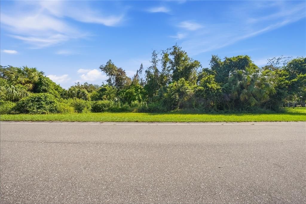 待售: $199,999 (0.97 acres)