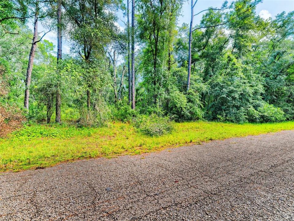 For Sale: $17,000 (0.34 acres)