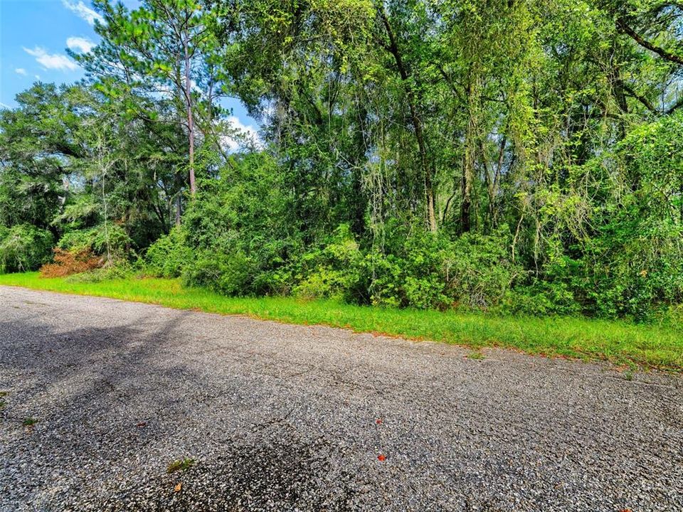 For Sale: $17,000 (0.34 acres)
