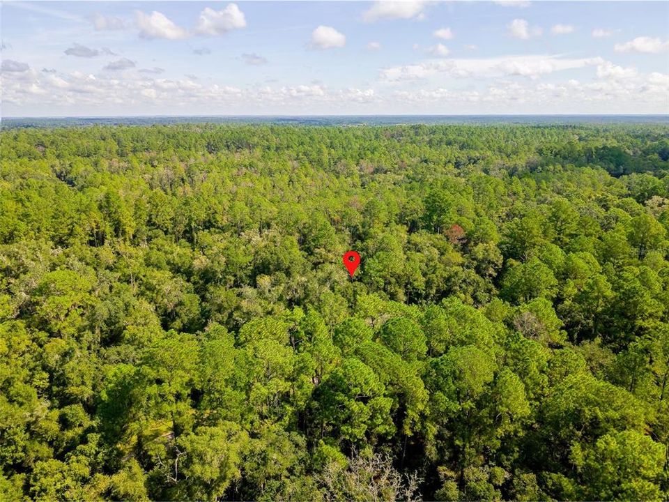 For Sale: $17,000 (0.34 acres)
