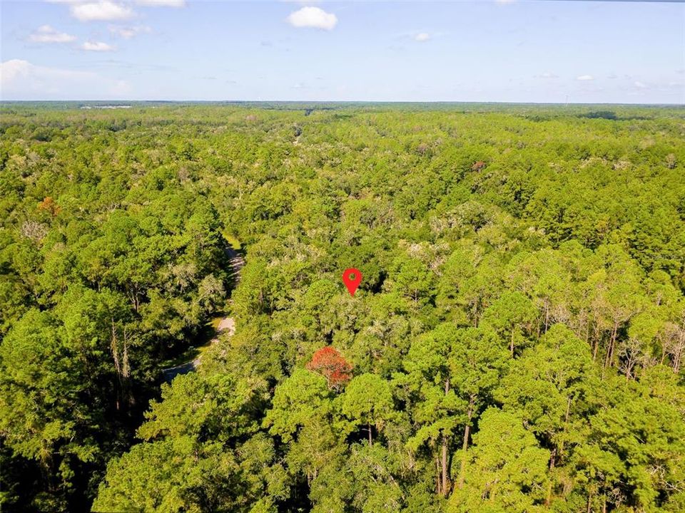 For Sale: $17,000 (0.34 acres)