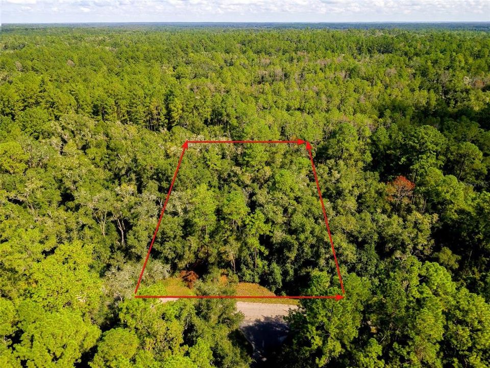 For Sale: $17,000 (0.34 acres)