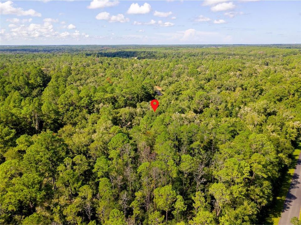 For Sale: $17,000 (0.34 acres)
