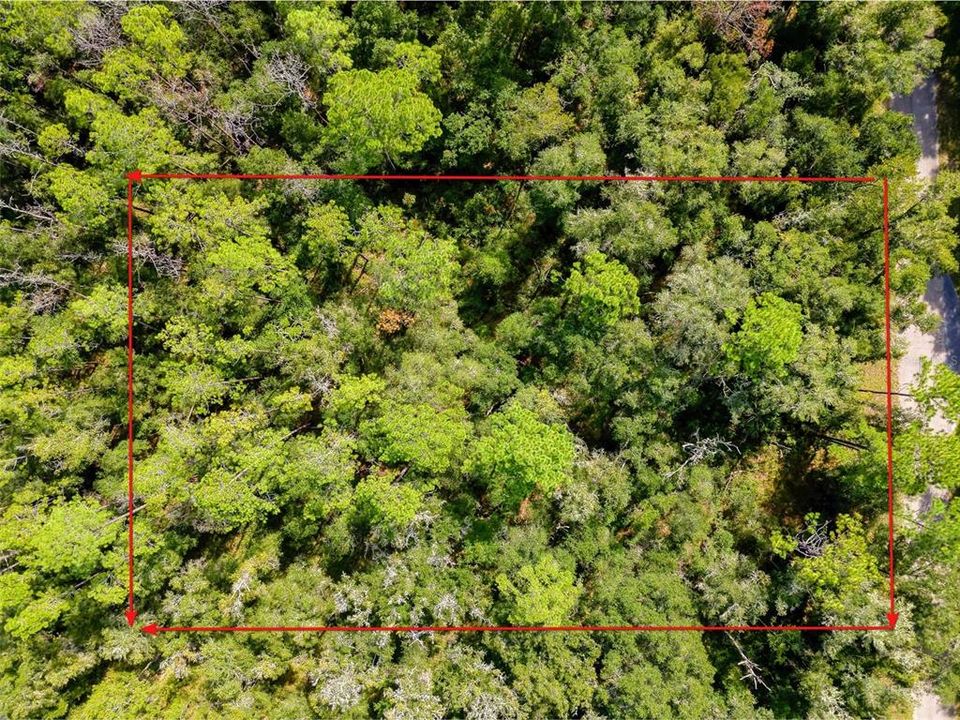 For Sale: $17,000 (0.34 acres)