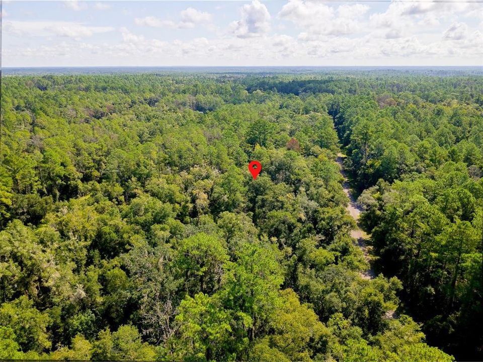 For Sale: $17,000 (0.34 acres)