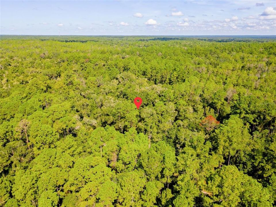 For Sale: $17,000 (0.34 acres)