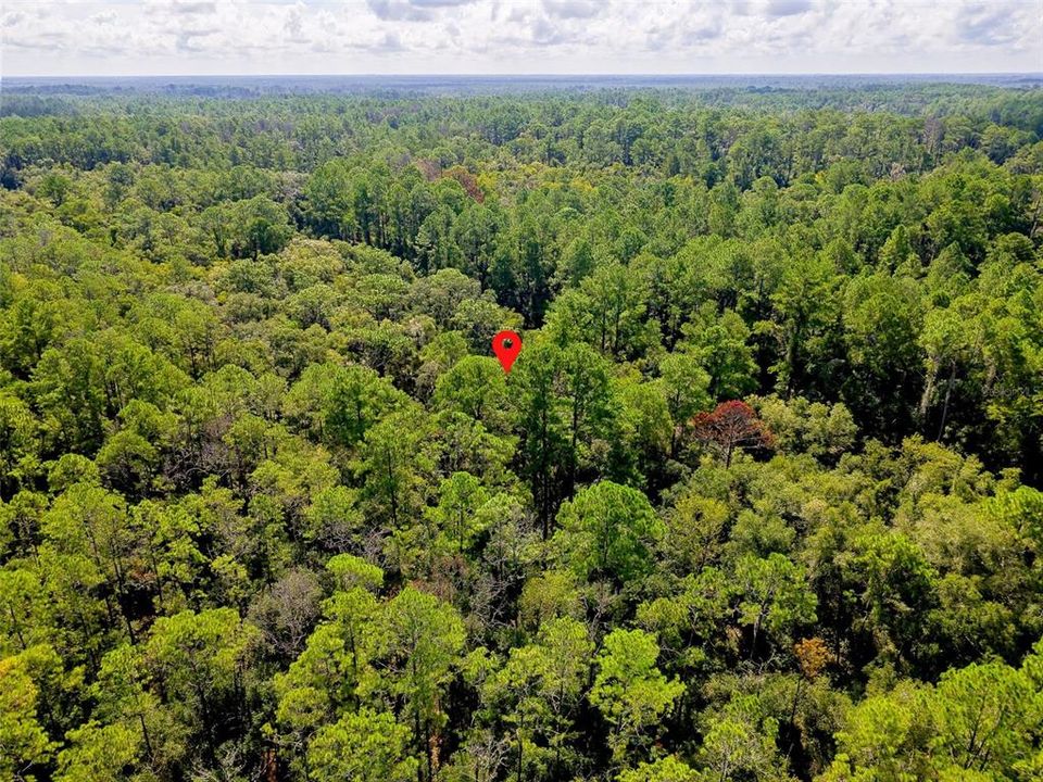 For Sale: $17,000 (0.34 acres)