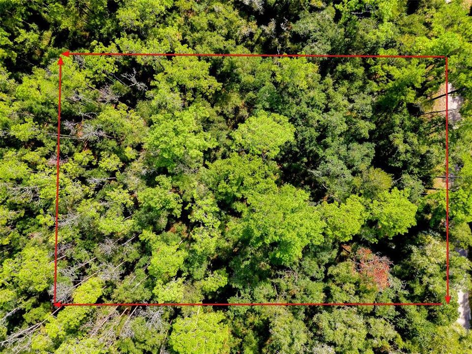 For Sale: $17,000 (0.34 acres)
