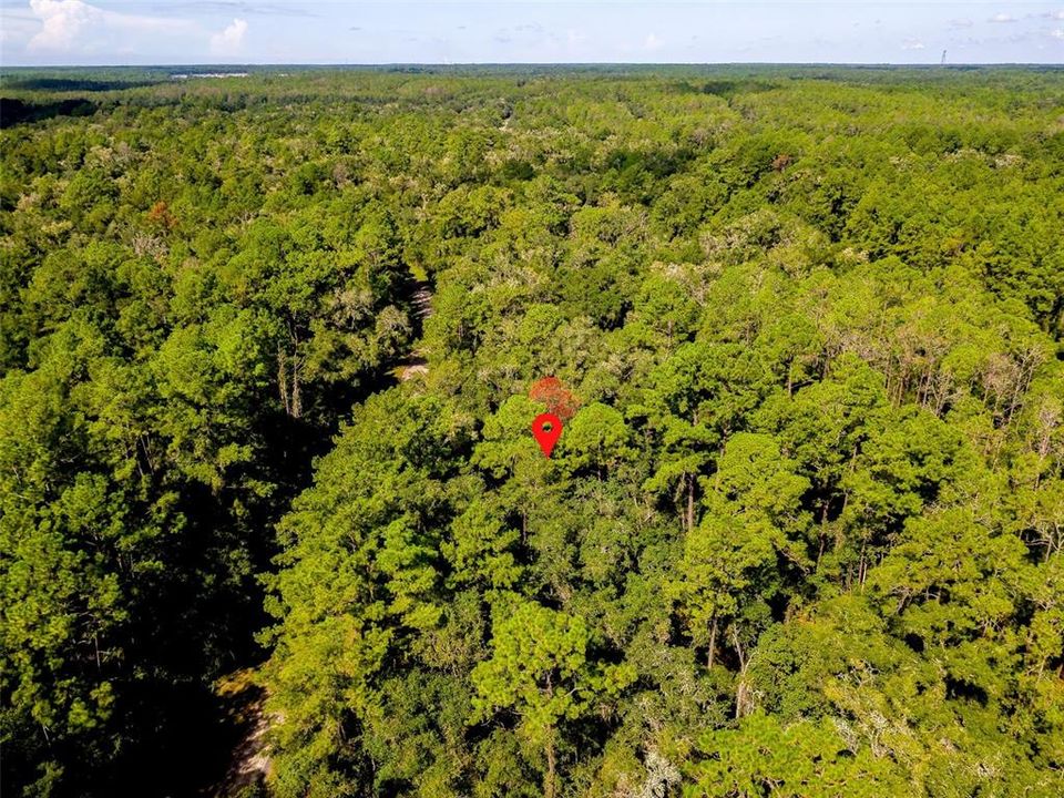 For Sale: $17,000 (0.34 acres)
