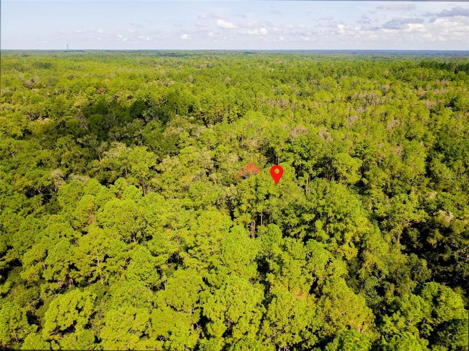 For Sale: $17,000 (0.34 acres)