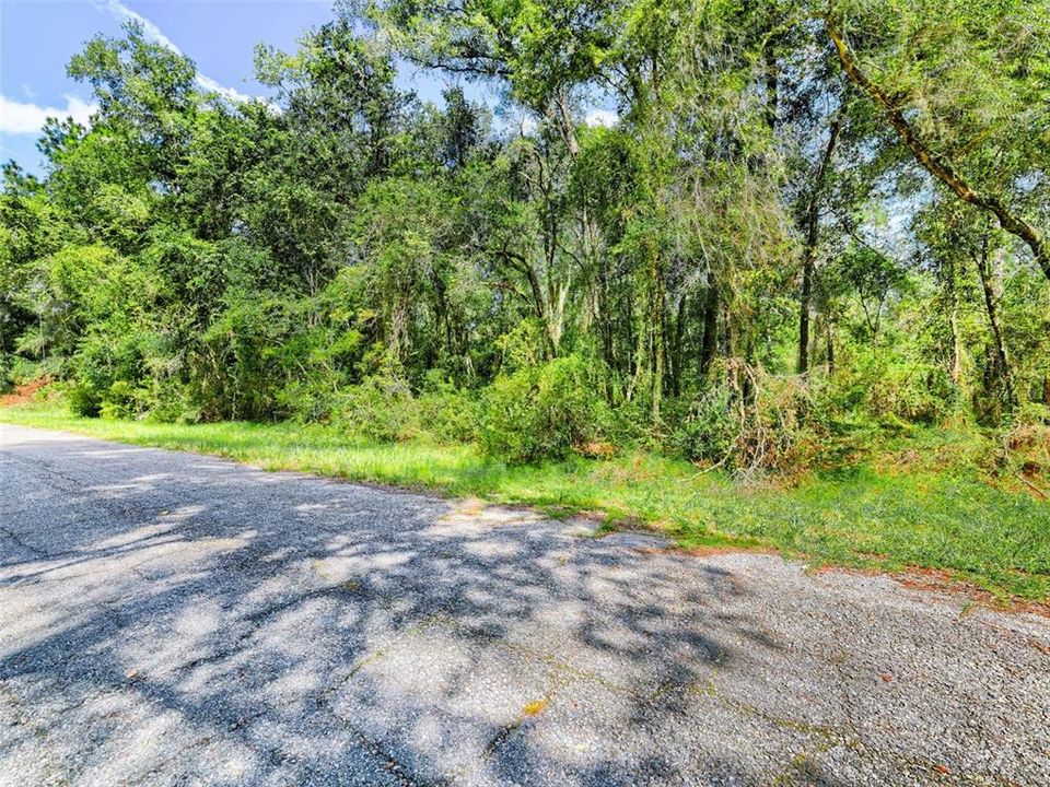 For Sale: $17,000 (0.34 acres)
