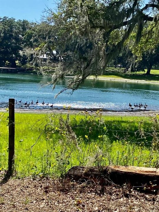 For Sale: $165,000 (5.12 acres)