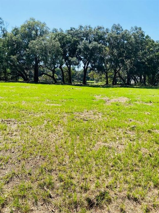 For Sale: $165,000 (5.12 acres)