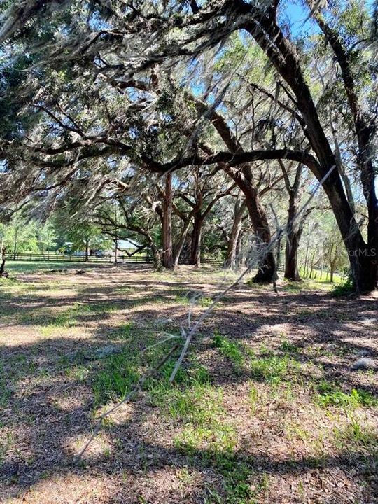For Sale: $165,000 (5.12 acres)