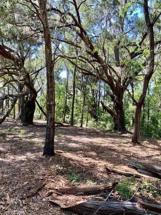 For Sale: $165,000 (5.12 acres)