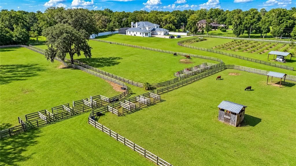 For Sale: $2,499,000 (5 beds, 6 baths, 7223 Square Feet)