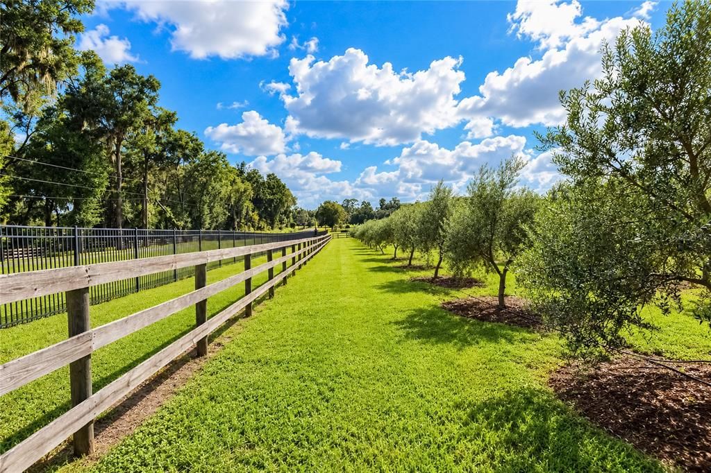 For Sale: $2,499,000 (5 beds, 6 baths, 7223 Square Feet)