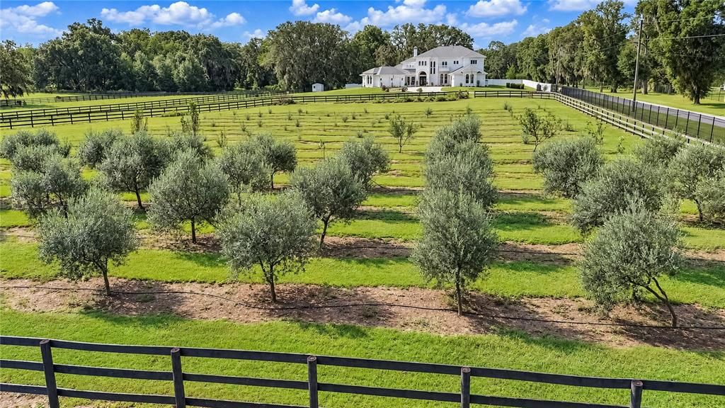 For Sale: $2,499,000 (5 beds, 6 baths, 7223 Square Feet)