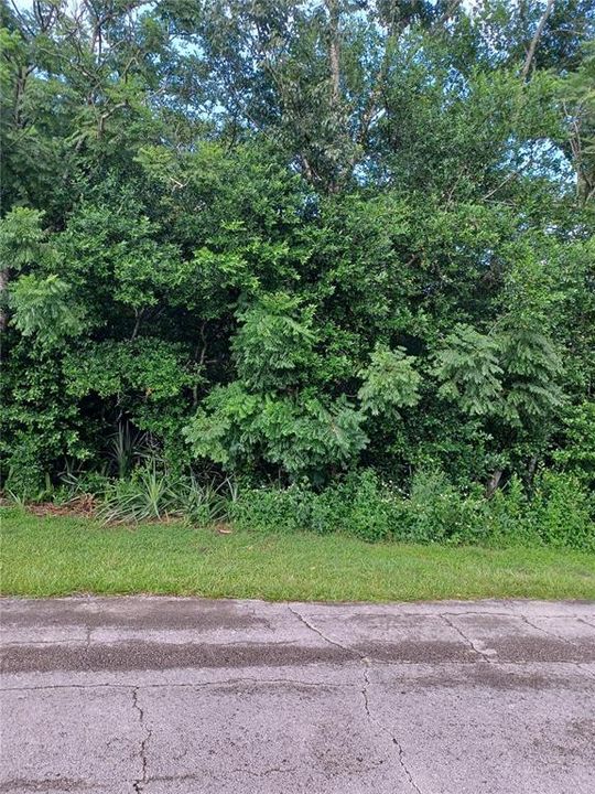 For Sale: $90,000 (0.23 acres)