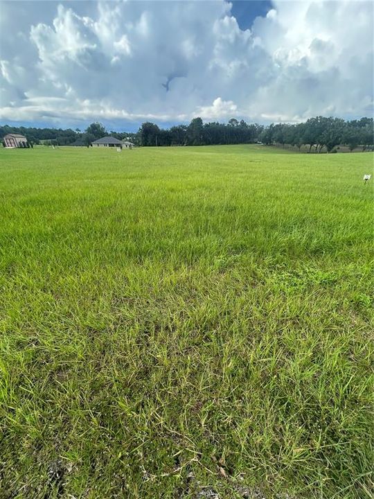 На продажу: $60,000 (1.00 acres)