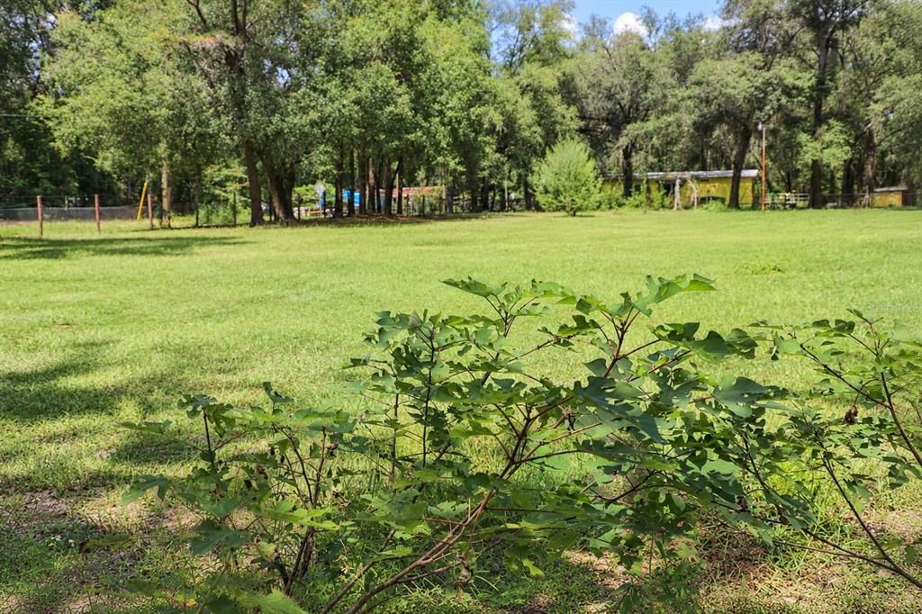 For Sale: $300,000 (4 beds, 2 baths, 1499 Square Feet)