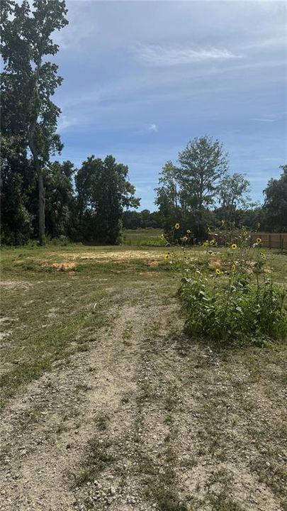 For Sale: $49,000 (0.79 acres)
