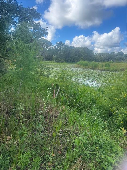 For Sale: $49,000 (0.79 acres)