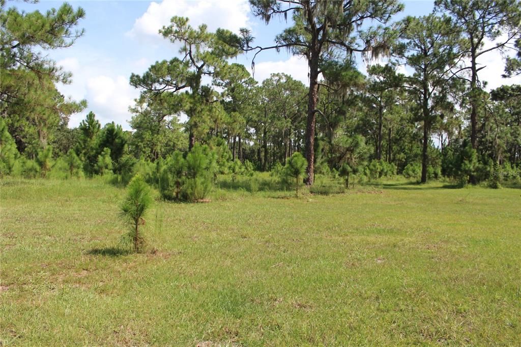 For Sale: $175,000 (2.82 acres)