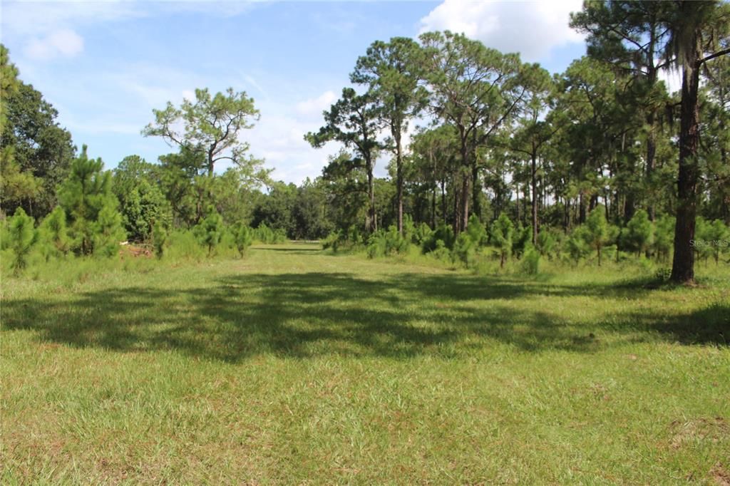 For Sale: $175,000 (2.82 acres)