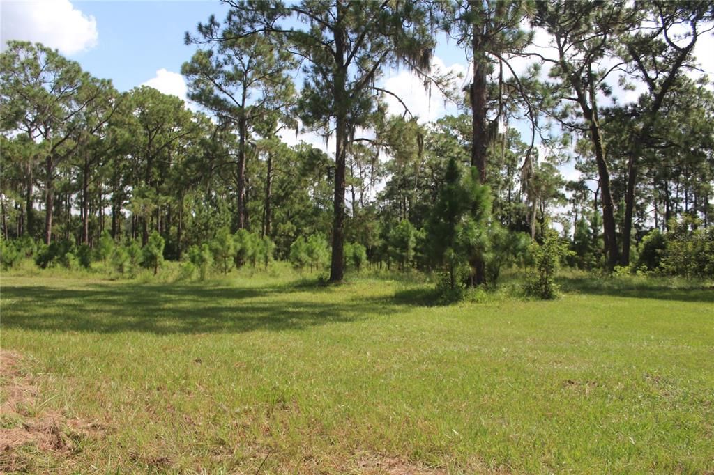 For Sale: $175,000 (2.82 acres)