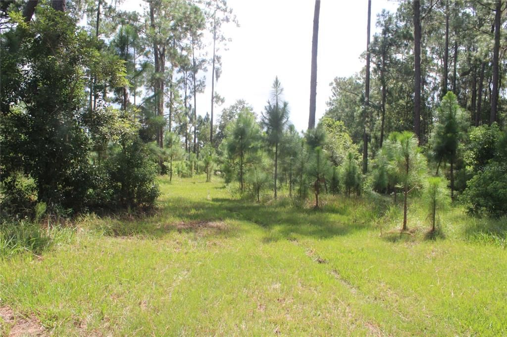 For Sale: $175,000 (2.82 acres)