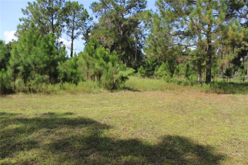 待售: $125,000 (2.08 acres)