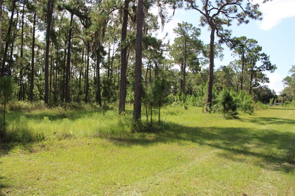 待售: $1,100,000 (24.28 acres)