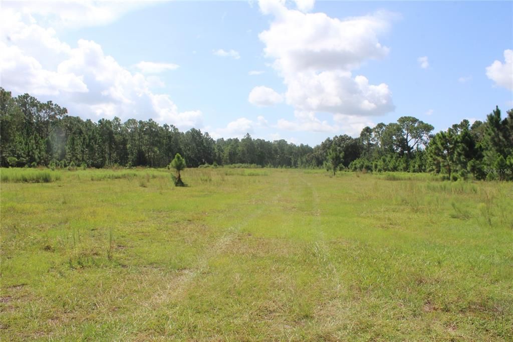 待售: $1,100,000 (24.28 acres)