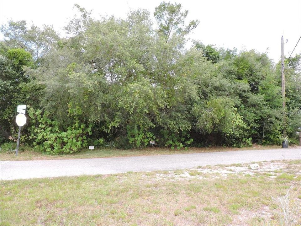 For Sale: $70,000 (0.40 acres)