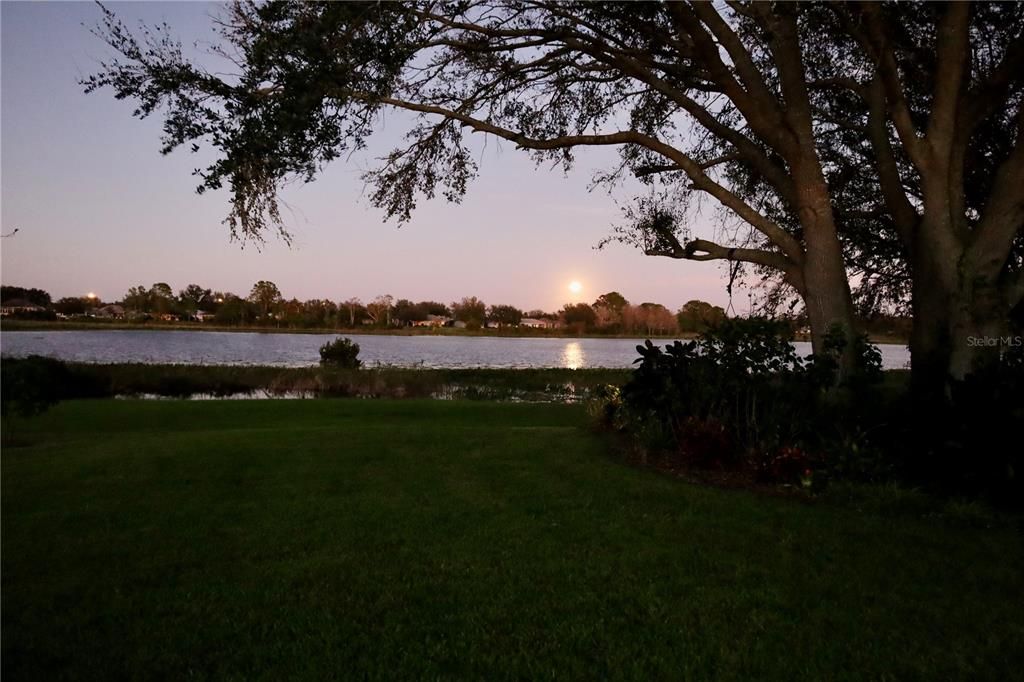 En Venta: $368,000 (3 camas, 2 baños, 1684 Pies cuadrados)