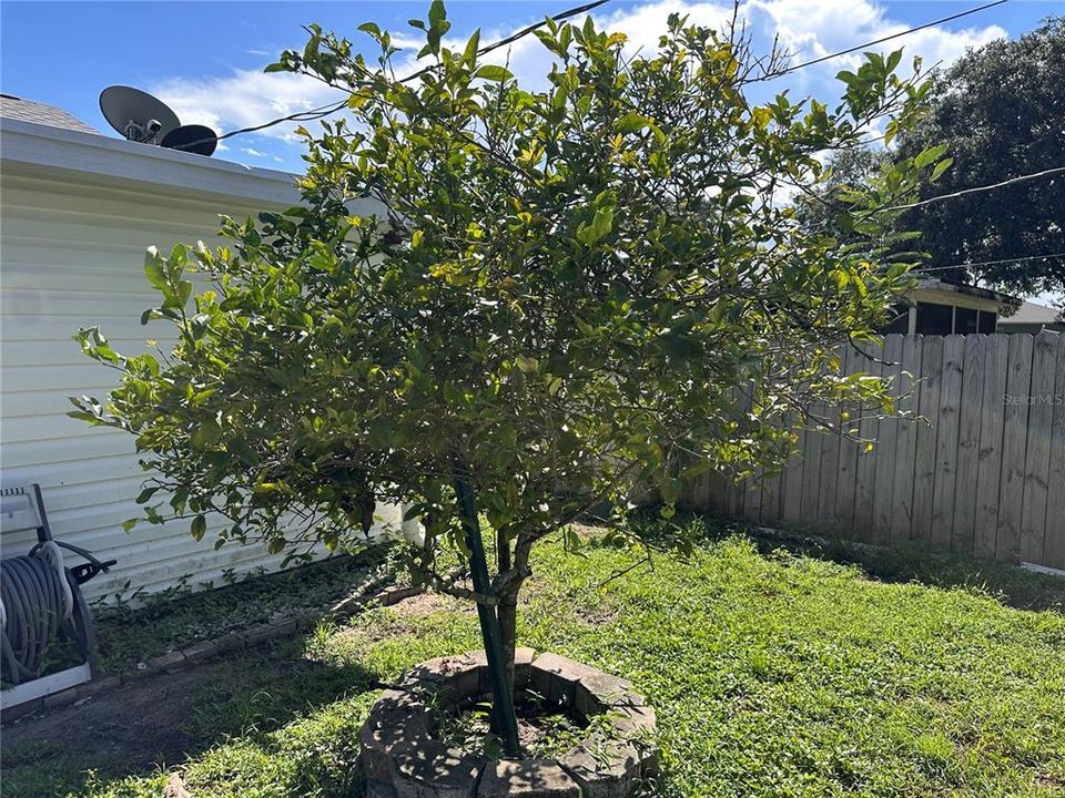 For Sale: $294,900 (4 beds, 2 baths, 1869 Square Feet)