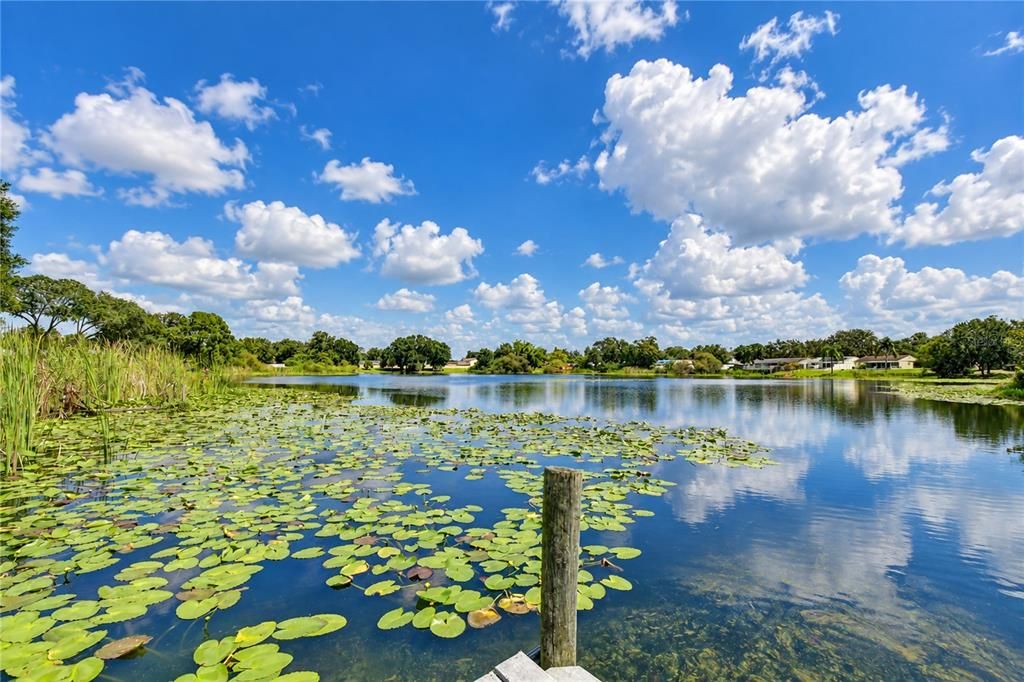 En Venta: $450,000 (3 camas, 2 baños, 1208 Pies cuadrados)