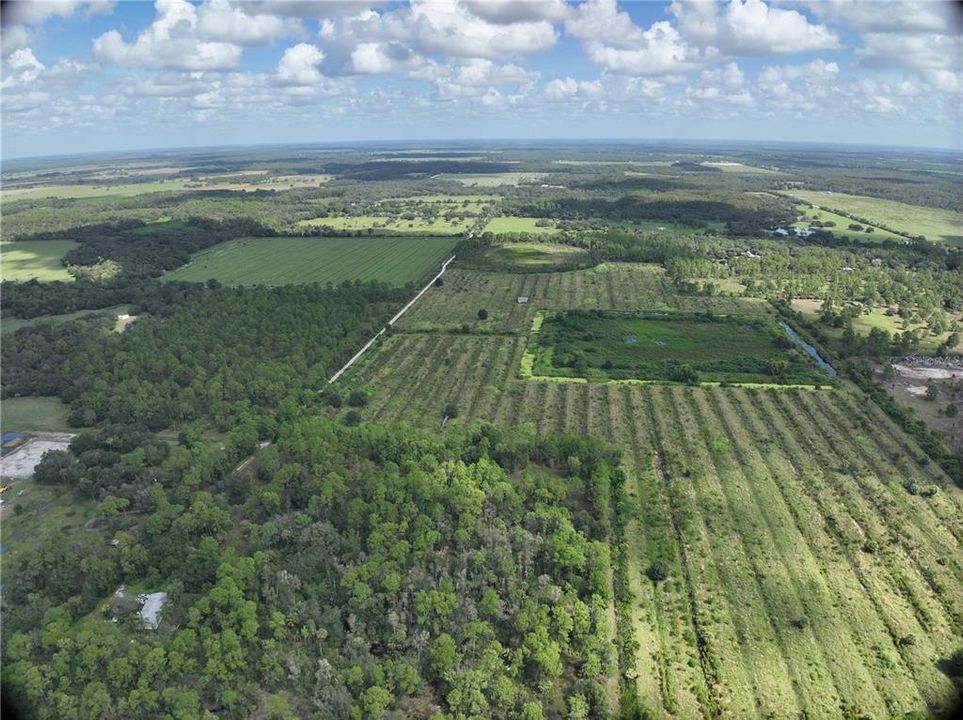 For Sale: $1,000,000 (68.96 acres)