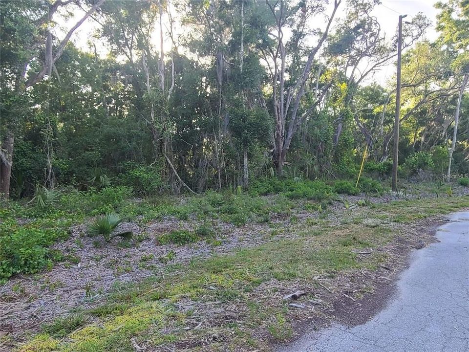 For Sale: $98,000 (2.72 acres)