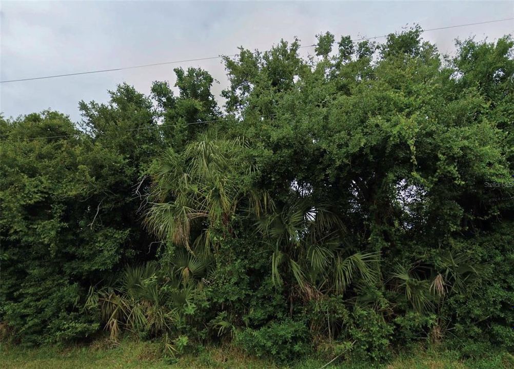 For Sale: $22,000 (0.23 acres)